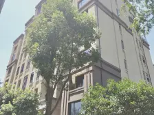 龙湖云洲 三室两厅 高楼层 诚心出售 可议价