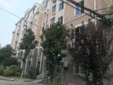 夏阳·界泾港新村三期·3室·1厅