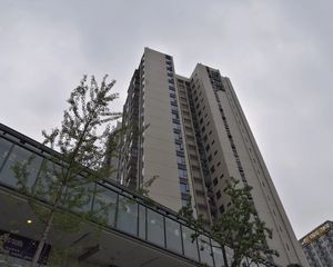 龙湖金楠时光2室1厅东南