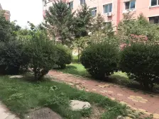 泡崖枢纽地段,前后无遮挡,电梯房