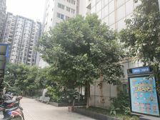 经典再现 1室1厅 东