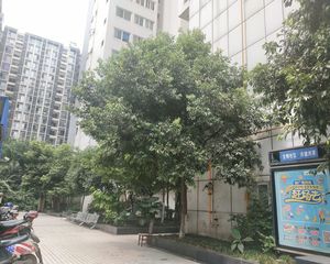 经典再现 1室1厅 东