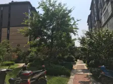 大唐世家 南北通透,采光好 视野好,诚心出售