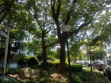 近地铁园林小区,顶楼复式前面无遮挡一览无余景色优美