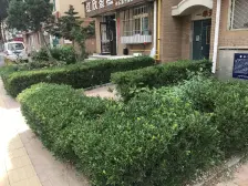 房主诚心出售 手续清晰 夫妻双方同意售房