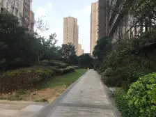 华东国际博览城(博泰静林府三期) 南北通透,采光好 视野好,诚心出售