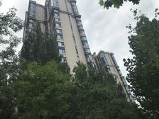 百合湾电梯洋房电梯入户带车位挑高8米