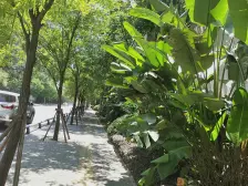 龙湖品质 标准两房 户型方正 采光充足 居家舒适