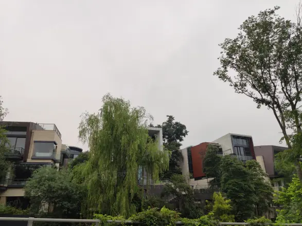 麓湖生态城黑珍珠