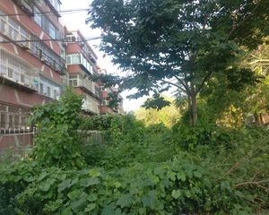明厨明卫经典开间,通风好,楼间距宽,无遮挡视野好