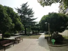 绿梅一村 私塾 产权清晰 满五 小区中心位置!!!