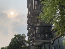 泗泾·金地自在城(二期)·7室·2厅