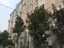 幻想中才有的楼层面积,大三房无房出其左右