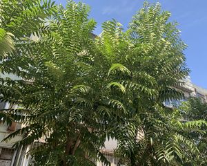 此房老本唯一可贷款南北通户型位置好