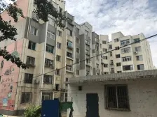 泡崖六区 2室1厅 南