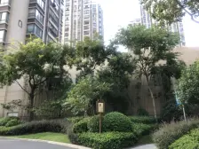 夏阳 · 龙湖紫都城南区 · 3室 · 2厅