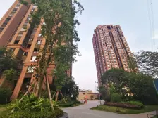 精致顶跃 带50平露台 龙湖物业 距离轻轨仅300米