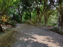 毛线沟 佳怡梧桐居二房65万