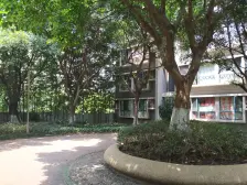 铜元局 融侨风临洲A区四房300万