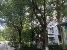 赞成红树林+大三房+户型好+ 位置佳