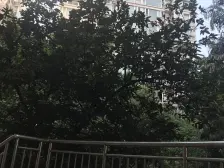 龙溪镇 黄金堡学府小区二房85万