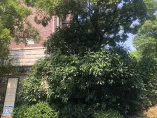 宝华海湾城靠北边中间楼层采光好