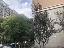 赞成红树林+大三房+户型好+ 位置佳