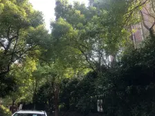 宝华海湾城 3室2厅 南