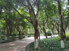 铜元局 融侨风临洲A区四房139万