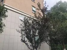 赞成红树林 2室2厅 南