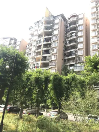 美堤雅城B区