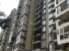 美堤雅城B区 5室2厅 南