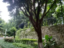 融侨 融侨风临洲B区三房198万