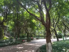 铜元局 融侨风临洲A区三房152万