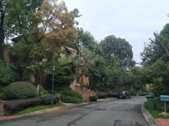 麓山国际圆石滩
