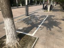 双拼别墅,180度环型花园,4个车位,精装修