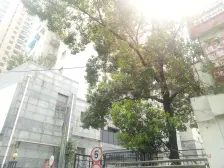 静安新格1室南朝向430.00万元/套出售