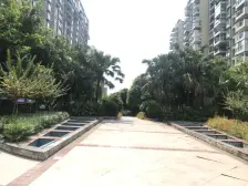 南滨路 10号线轻轨 70年大产权 精装3房 拎包入住