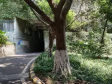 性价比超高板式的洋房,正4房精装,小区中间,非常安静!