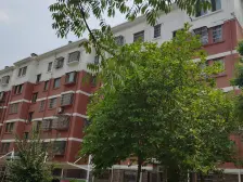 漕湖花园五区顶楼带阁楼 外楼梯 随时看房