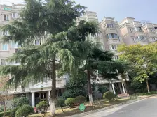 近地铁 产权清晰 通风好 全明户型采光好 店长力推