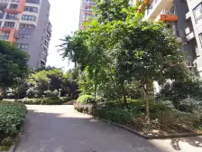 橙堡林正远景 4室2厅 南 西南