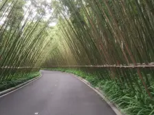 蔡家别墅,户型宽敞,得房率高,单层面积大。