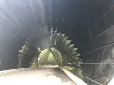 蔡家优质房源,采光充足,业主诚心出售