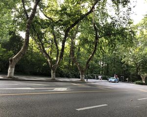 小区出来就是西湖。大华饭店。东边套·