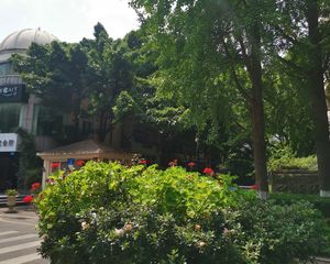 中华园中苑3室2厅南北