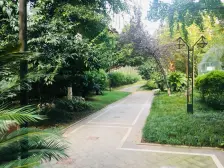 内圈一楼花园洋房 带地下室!!!