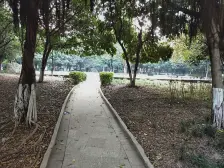 龙头寺 东湖雅苑一房55万