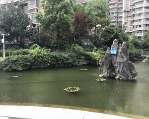 户型周正满五唯一产证在手诚心出售