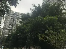 锦天星都 2室2厅 南